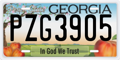 GA license plate PZG3905