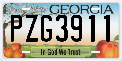 GA license plate PZG3911