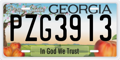 GA license plate PZG3913