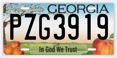 GA license plate PZG3919