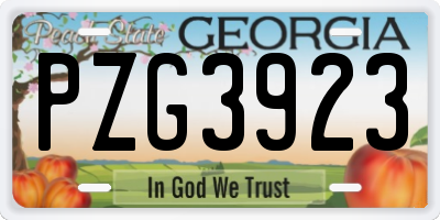 GA license plate PZG3923