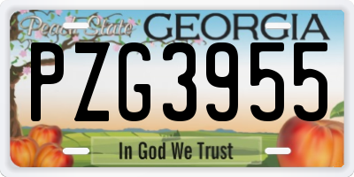 GA license plate PZG3955
