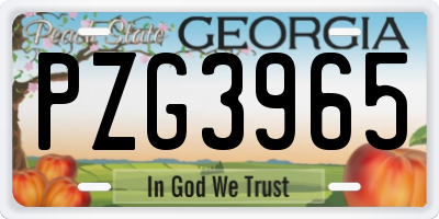 GA license plate PZG3965