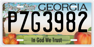 GA license plate PZG3982