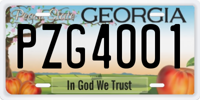 GA license plate PZG4001