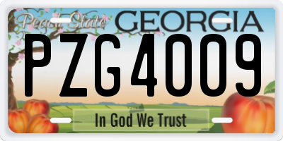 GA license plate PZG4009