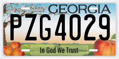 GA license plate PZG4029