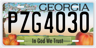 GA license plate PZG4030