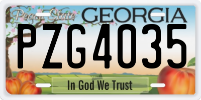 GA license plate PZG4035