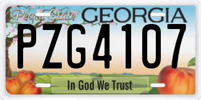 GA license plate PZG4107
