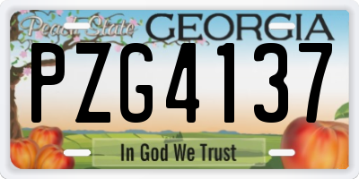 GA license plate PZG4137
