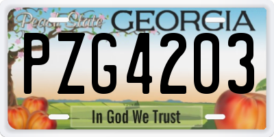 GA license plate PZG4203