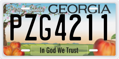 GA license plate PZG4211
