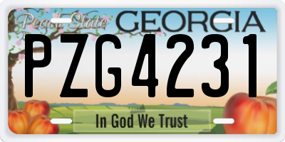 GA license plate PZG4231