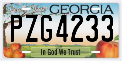 GA license plate PZG4233