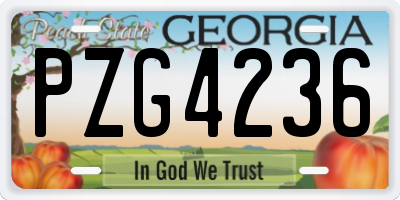 GA license plate PZG4236
