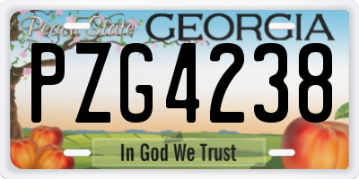 GA license plate PZG4238