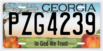 GA license plate PZG4239