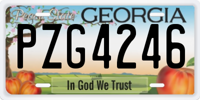 GA license plate PZG4246