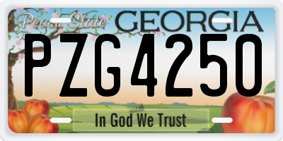 GA license plate PZG4250