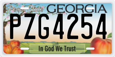 GA license plate PZG4254