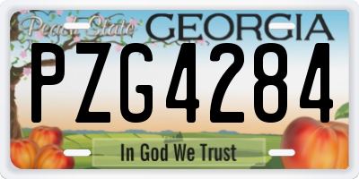 GA license plate PZG4284