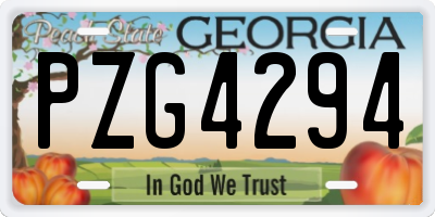 GA license plate PZG4294