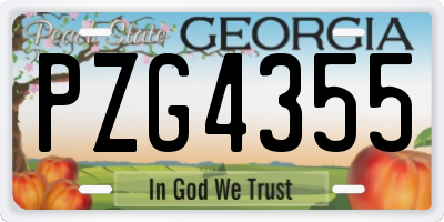 GA license plate PZG4355