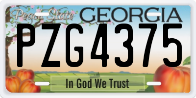 GA license plate PZG4375