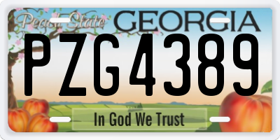 GA license plate PZG4389