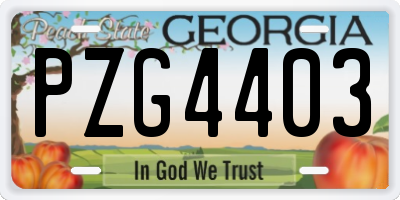 GA license plate PZG4403