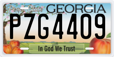GA license plate PZG4409