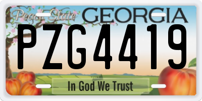 GA license plate PZG4419
