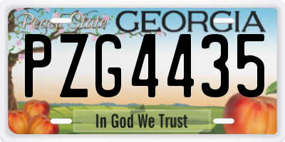 GA license plate PZG4435