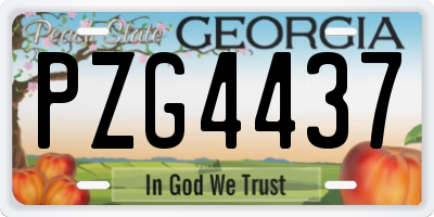 GA license plate PZG4437