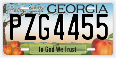 GA license plate PZG4455