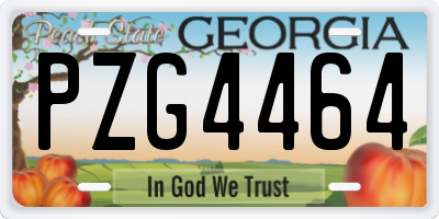 GA license plate PZG4464