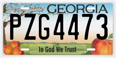 GA license plate PZG4473