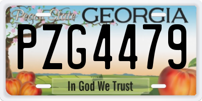 GA license plate PZG4479