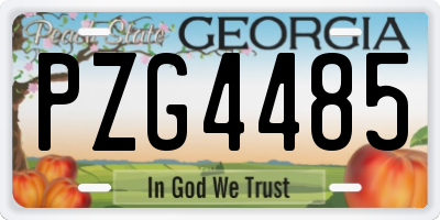GA license plate PZG4485
