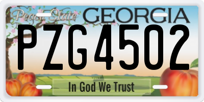 GA license plate PZG4502