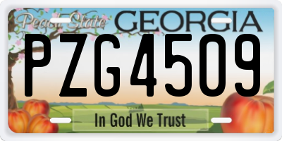 GA license plate PZG4509