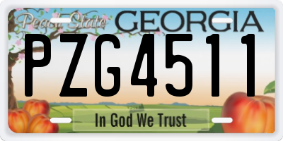 GA license plate PZG4511