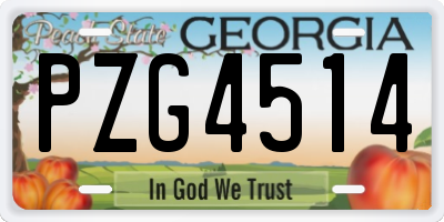 GA license plate PZG4514