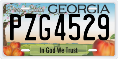 GA license plate PZG4529
