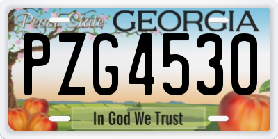 GA license plate PZG4530