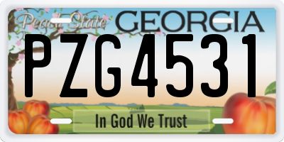 GA license plate PZG4531