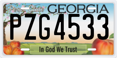 GA license plate PZG4533