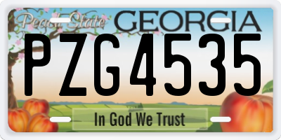 GA license plate PZG4535