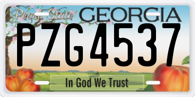 GA license plate PZG4537